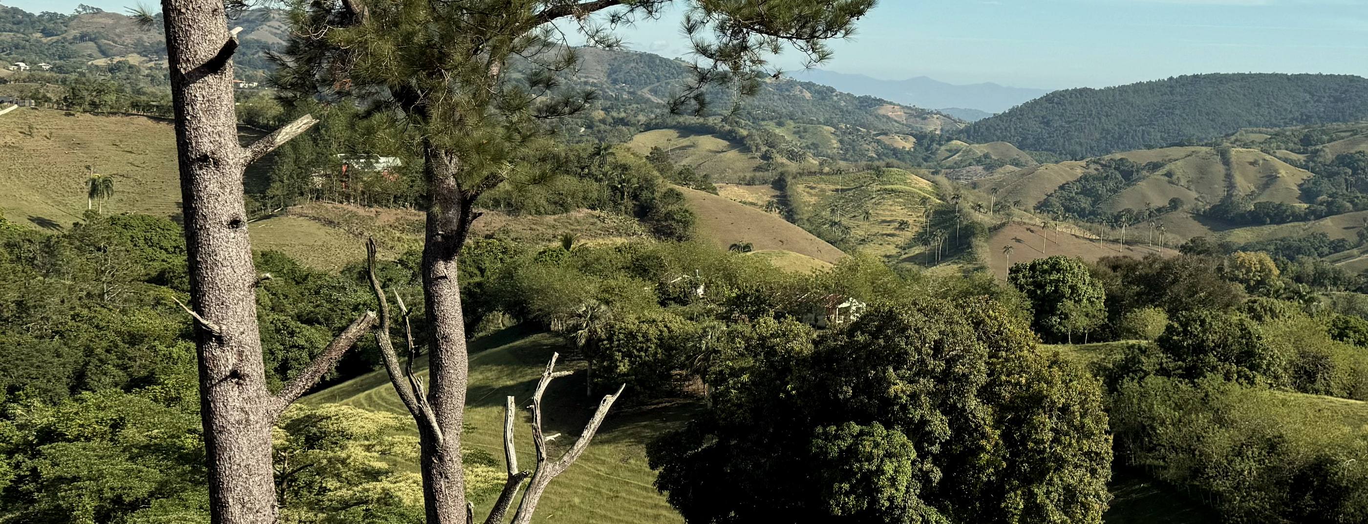 Pinos en primer plano enmarcando las lomas de Jarabacoa, que se pierden en la bruma azul del horizonte