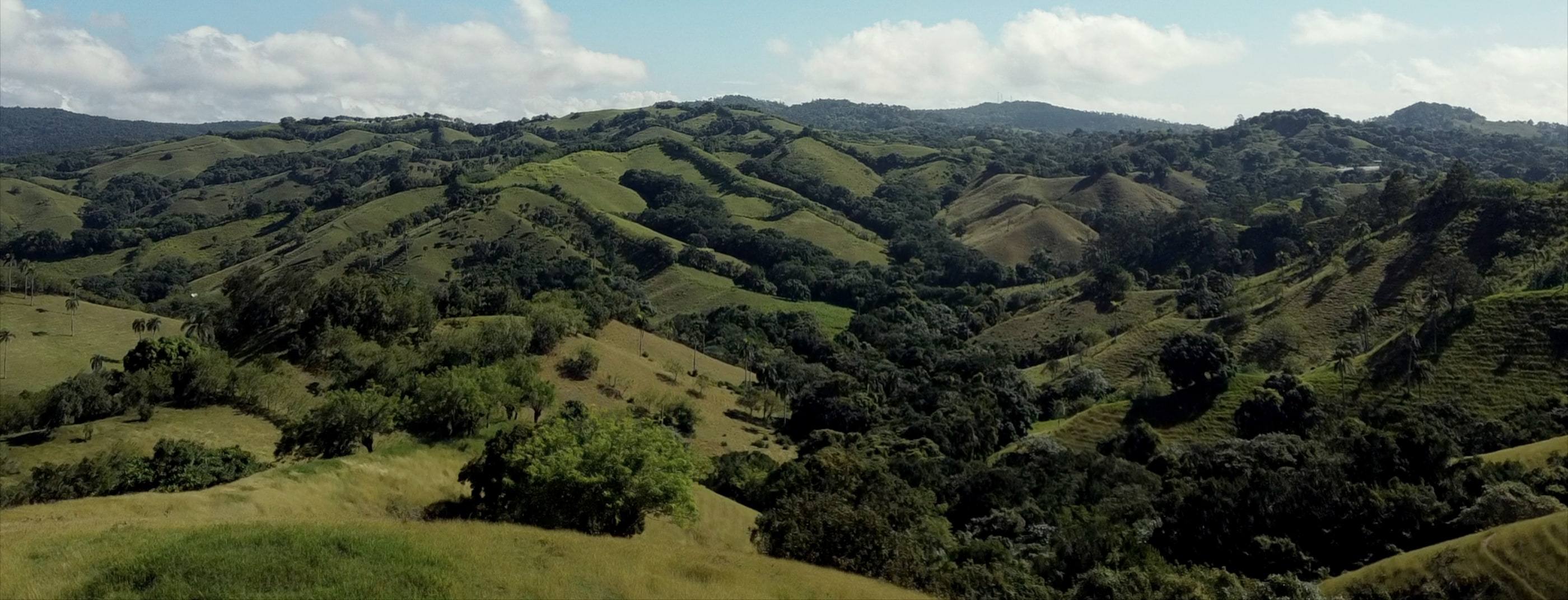 Lomas verdes que se pliegan unas sobre otras bajo nubes altas de la tarde